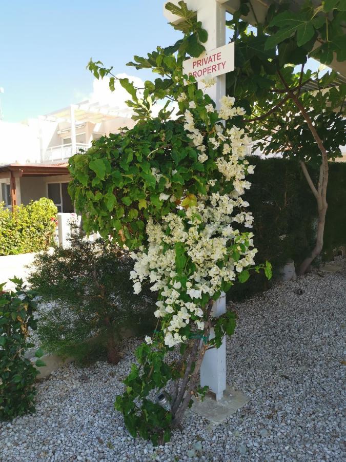 Ocean Pearl Peyia